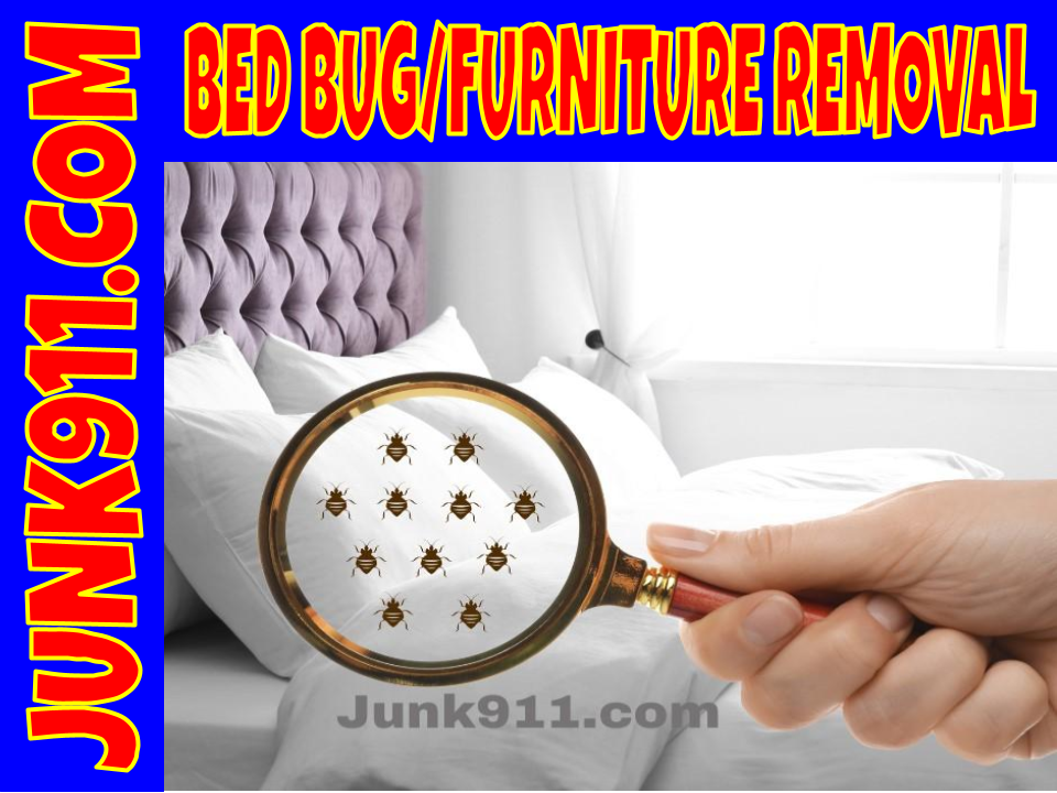 Junk911 bed -bug furniture removal