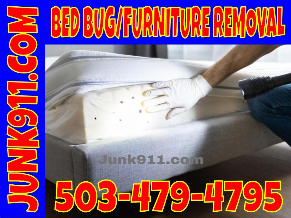 Junk911 bed bug furniture removal
