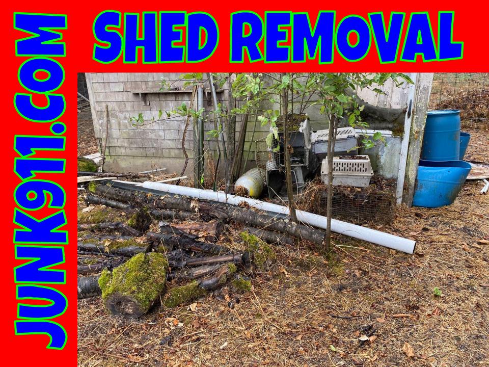 Professional shed removal service clearing old, damaged sheds from backyards efficiently.