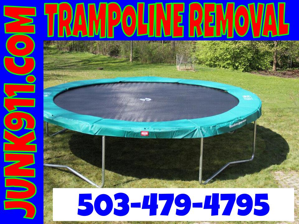 Professional trampoline removal service clearing backyard clutter easily.